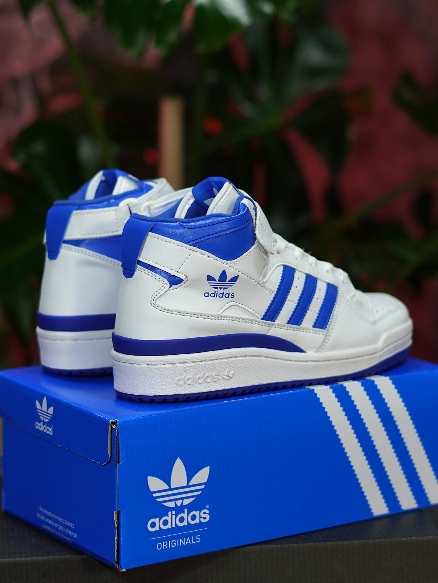 Adidas Forum High - Blanca, Azul