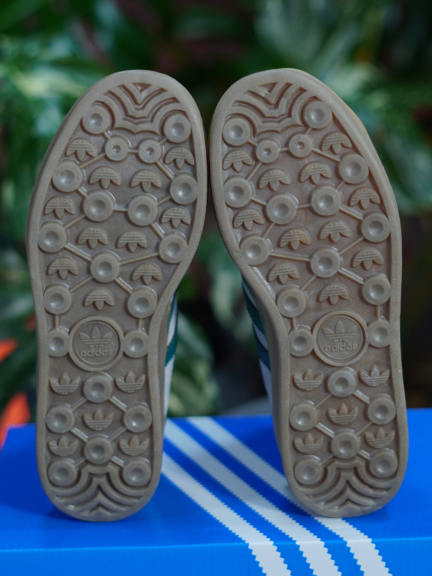 Adidas Gazelle Triple Bold - Gris, Verde, Beige