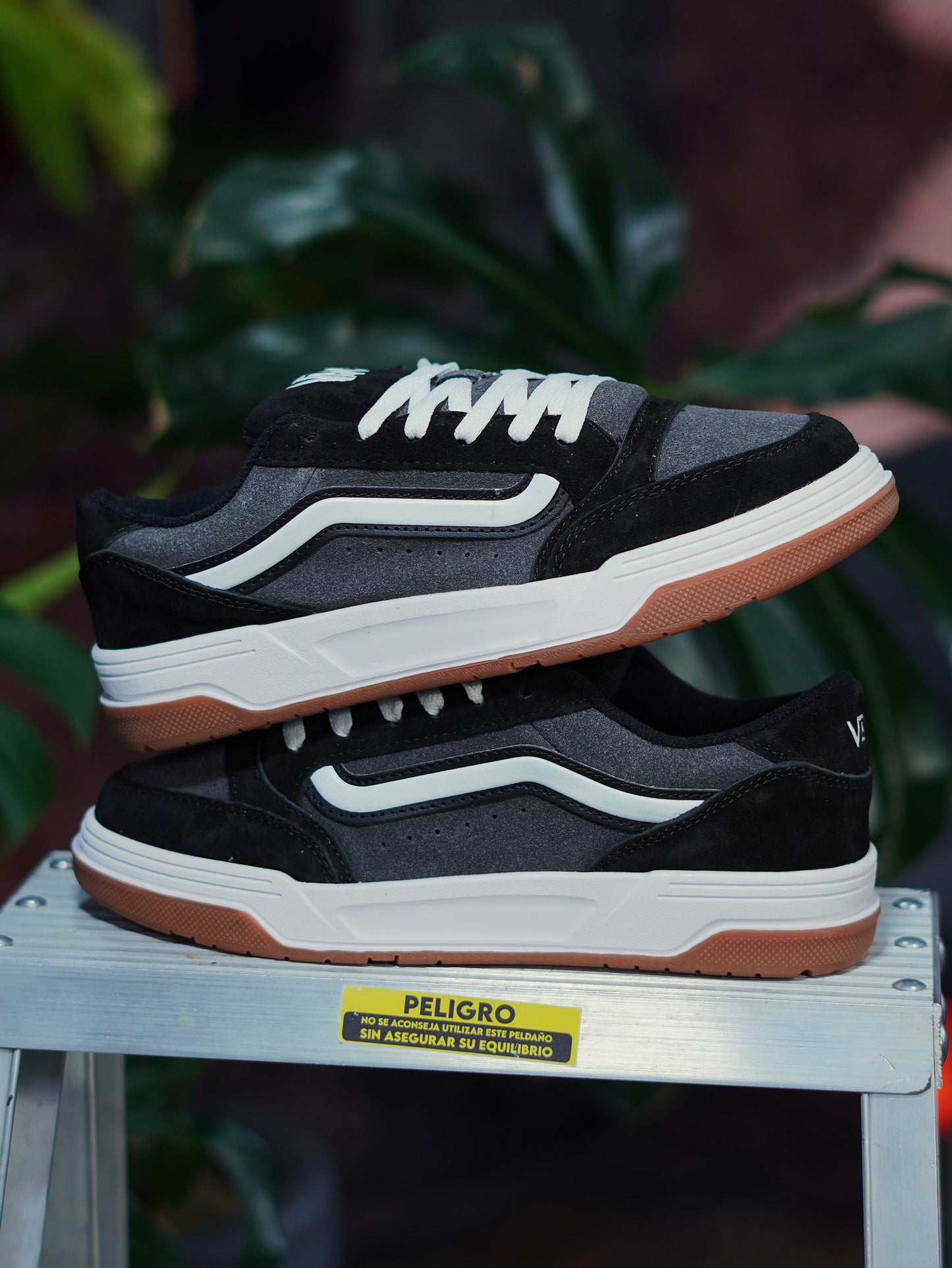 Vans Hylane - Negro
