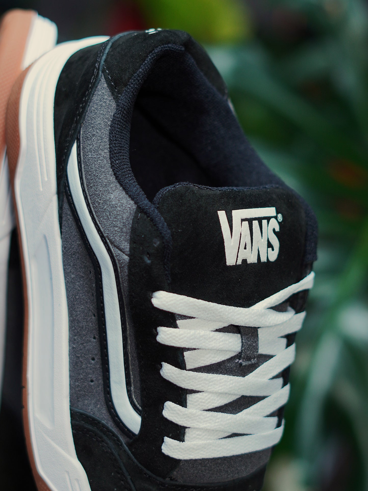 Vans Hylane - Negro