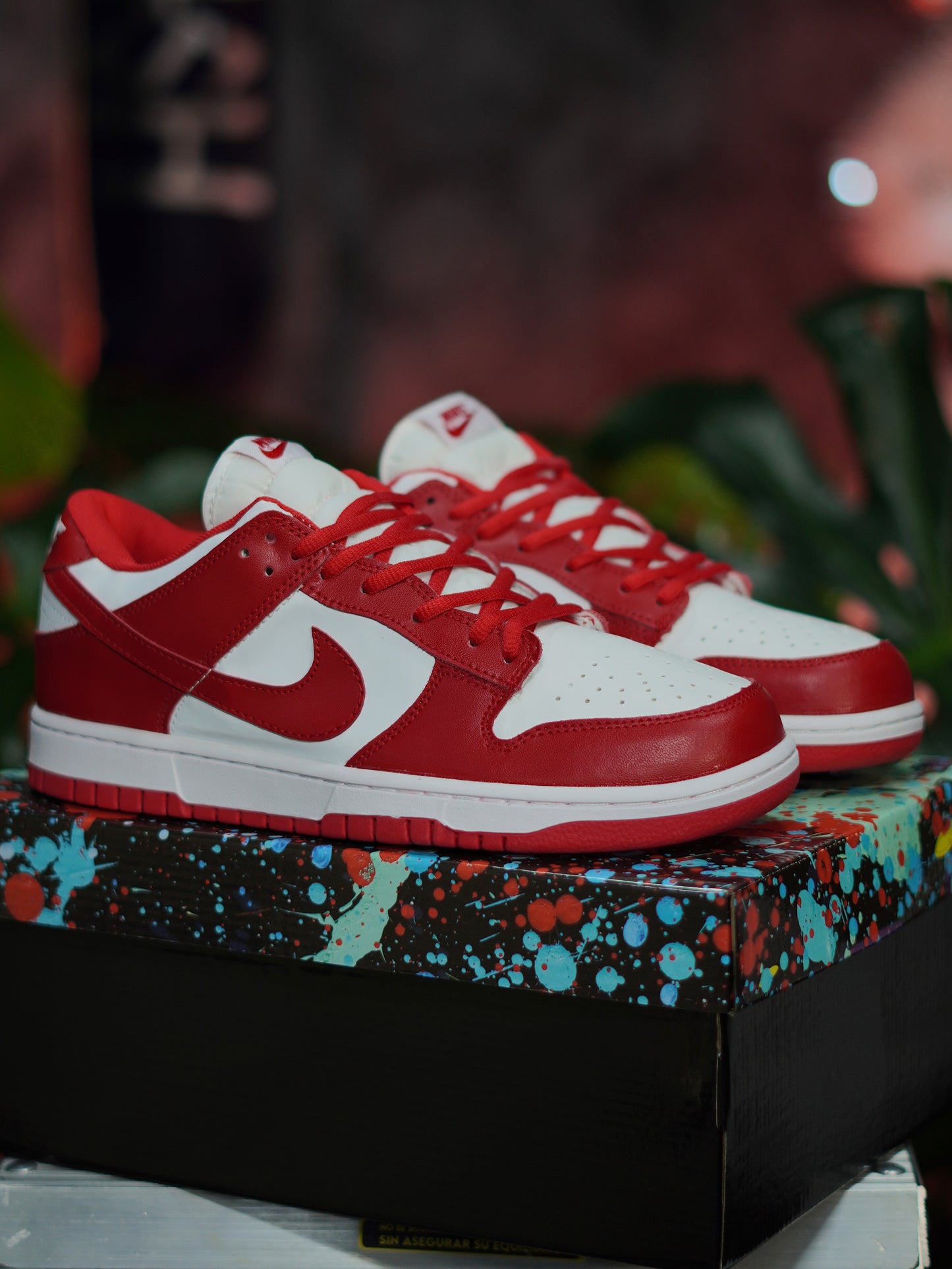 Nike Sb Dunk - Rojo