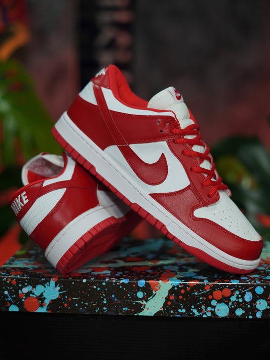 Nike Sb Dunk - Rojo