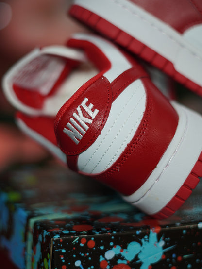 Nike Sb Dunk - Rojo
