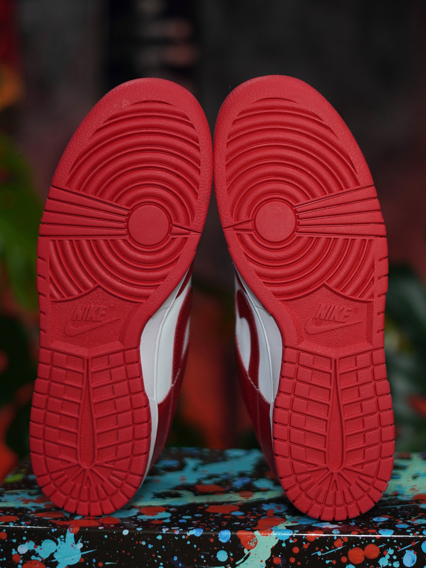 Nike Sb Dunk - Rojo