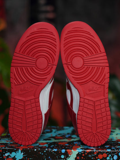 Nike Sb Dunk - Rojo
