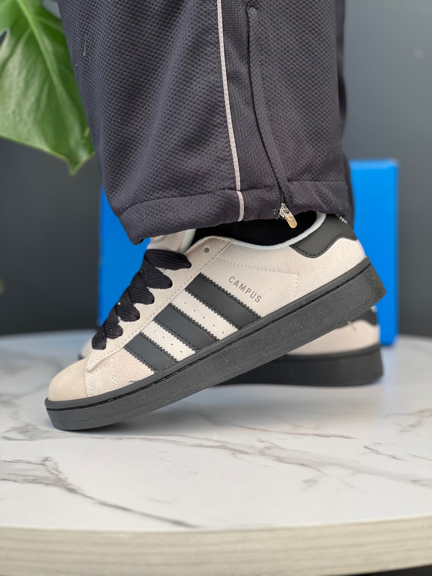 Adidas Campus Beige and black