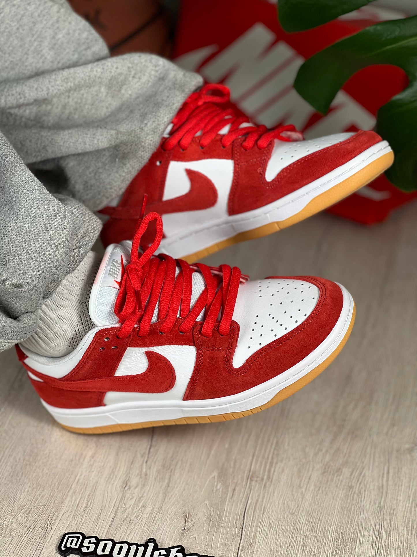 Nike SB Dunk Low “University Red Gum”