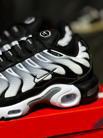 Nike airmax Tn