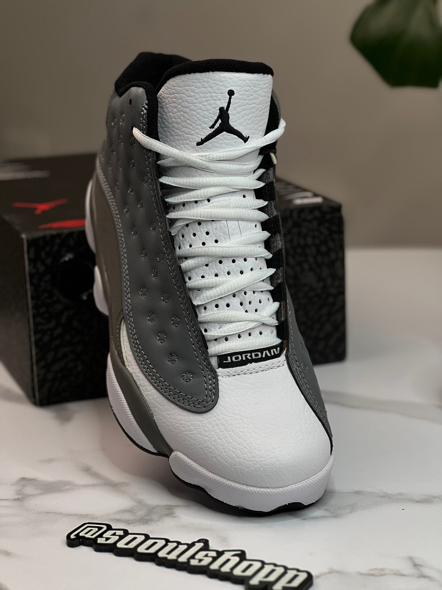 Air Jordan 13