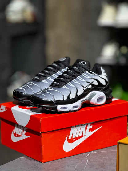 Nike airmax Tn