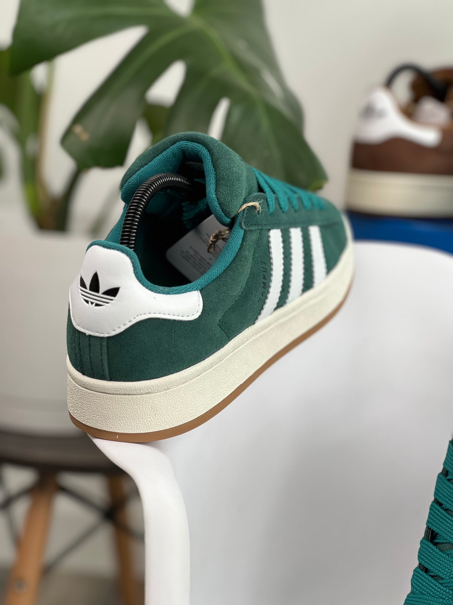 Adidas Campus 00s Green