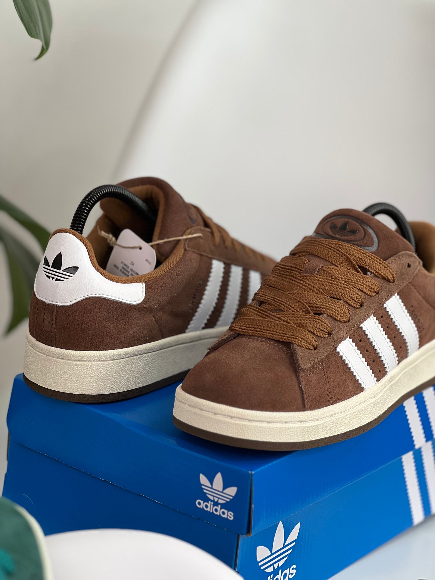 Adidas Campus 00s Brown