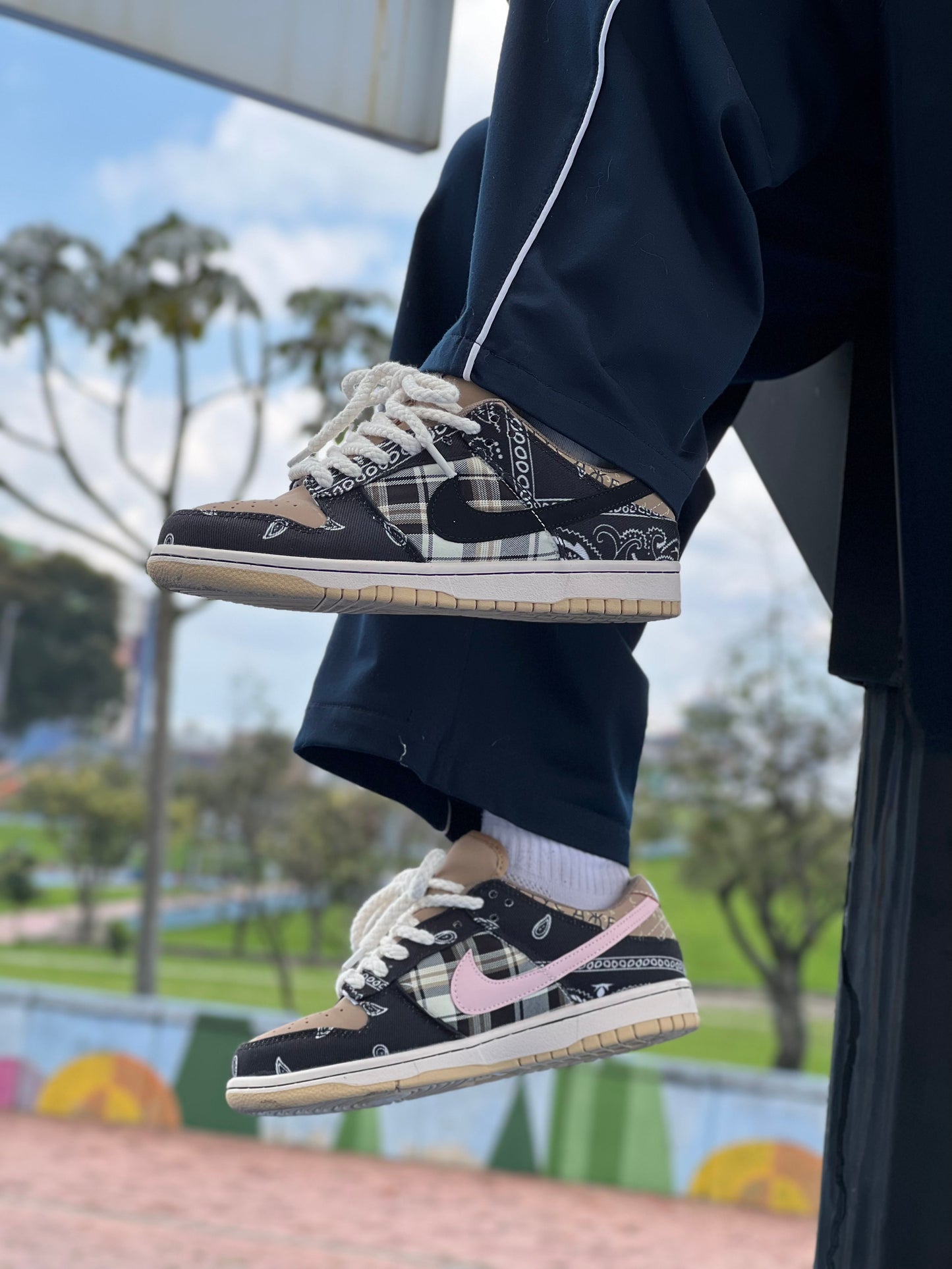 Nike SB Dunk Low Travis Scott