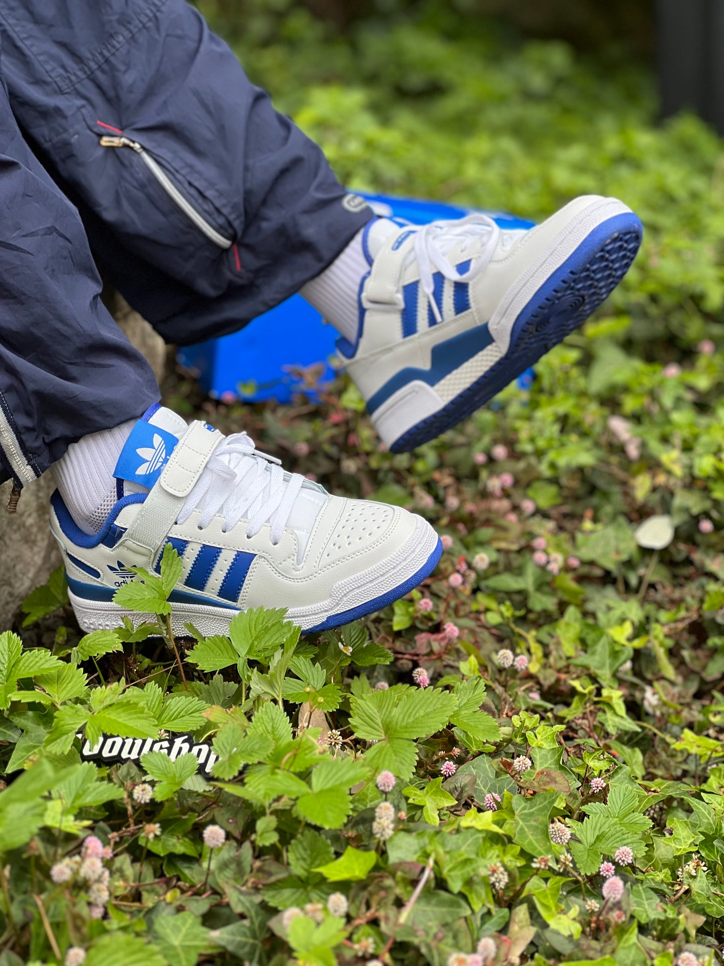 Adidas Forum Low White Royal Blue