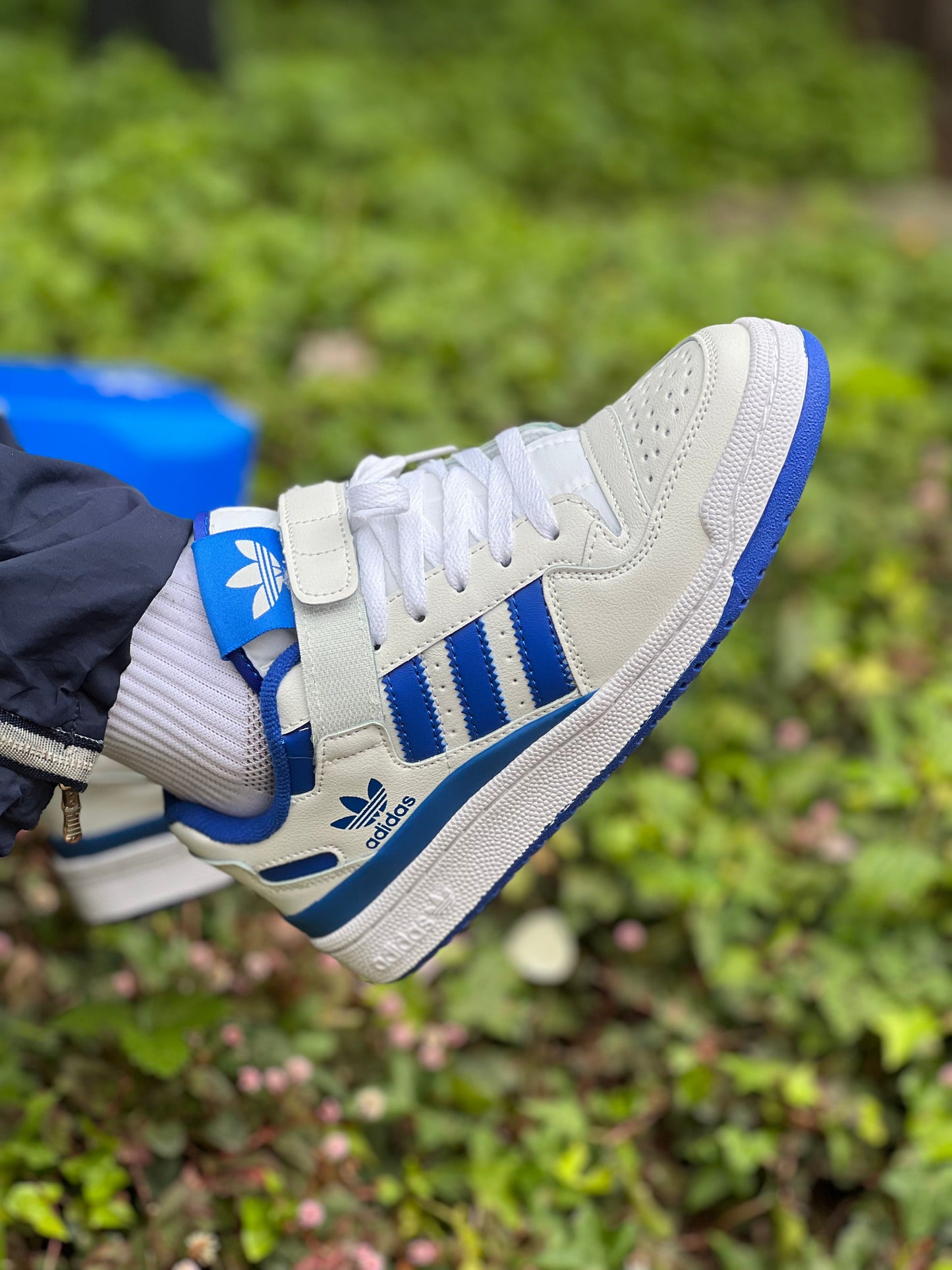 Adidas Forum Low White Royal Blue