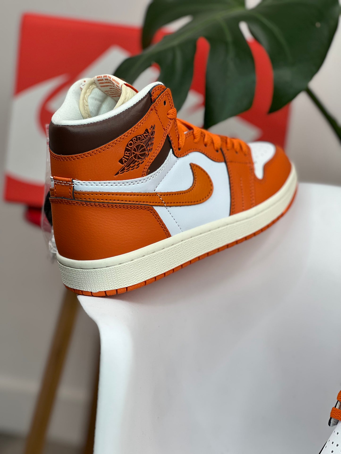 Jordan Retro 1 / Starfish